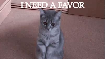 xev sister|Innocent sister needs a favor (Gif) : r/Xev.